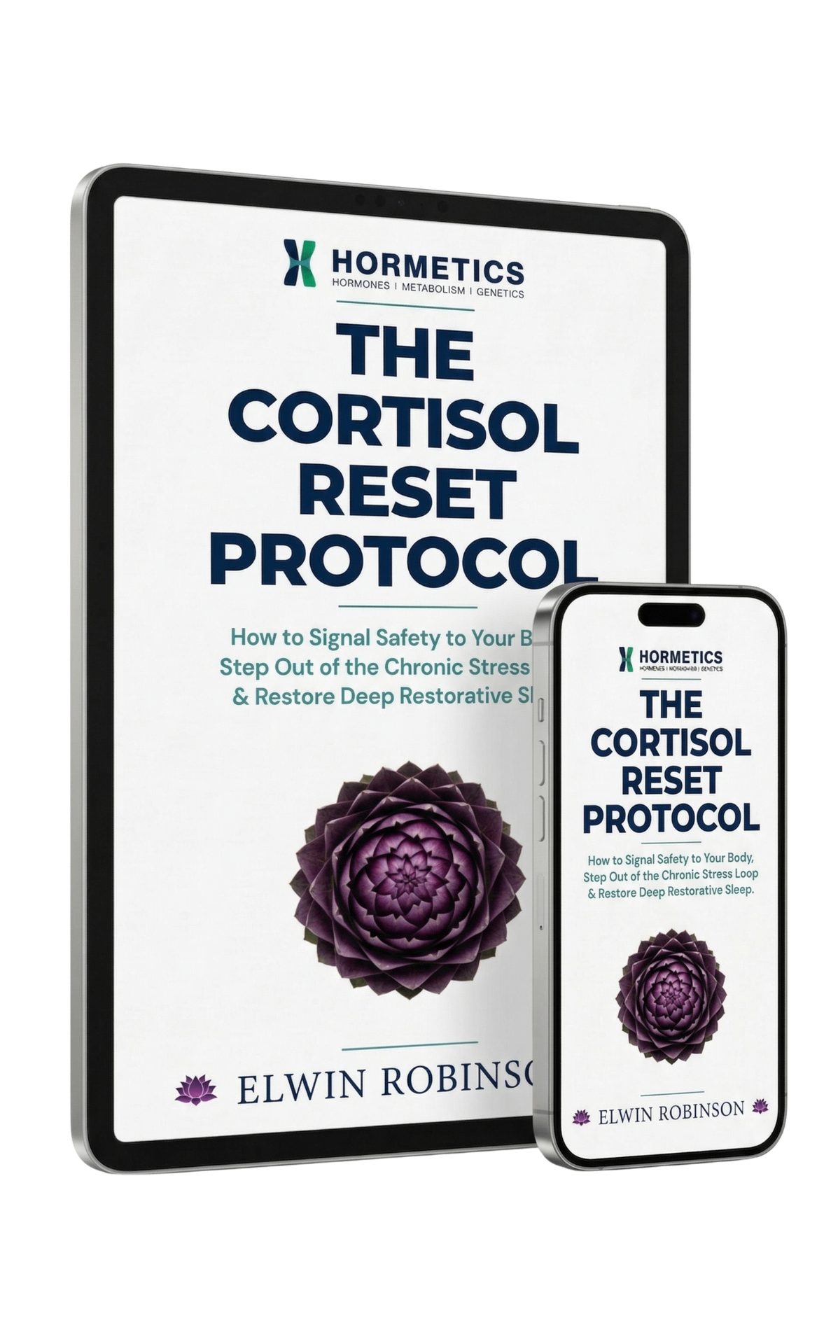 The Cortisol Guide