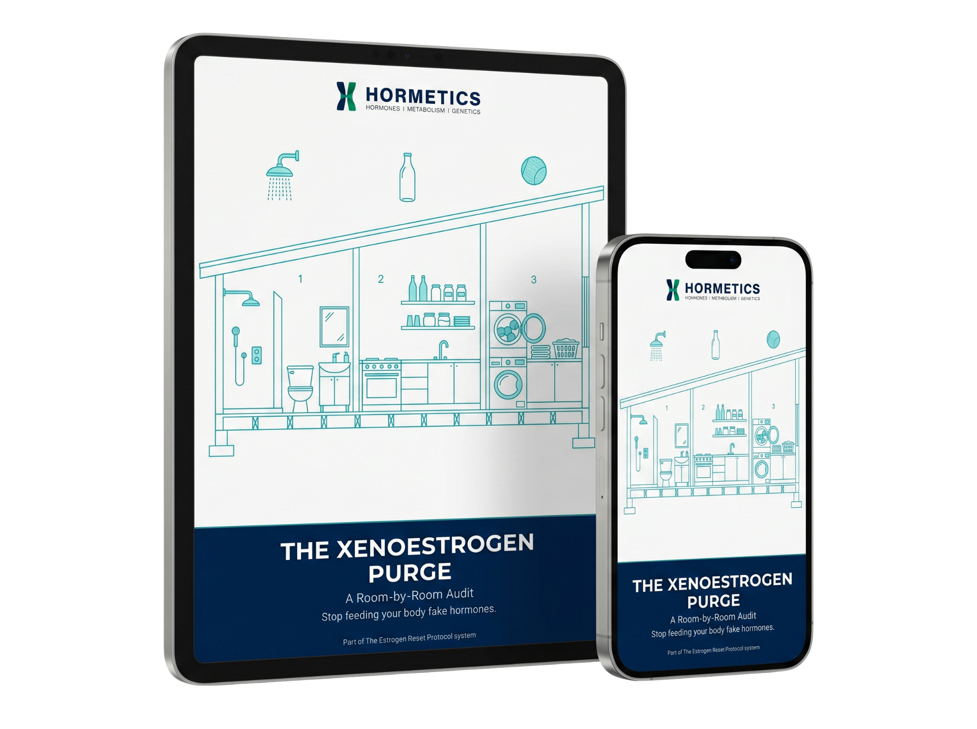 The Xenoestrogen Purge bonus