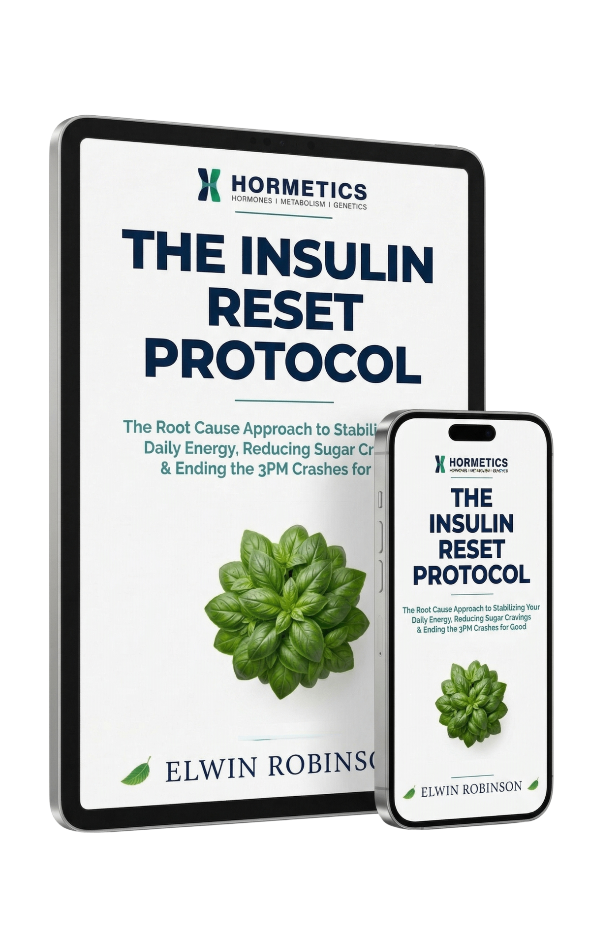 The Insulin Guide