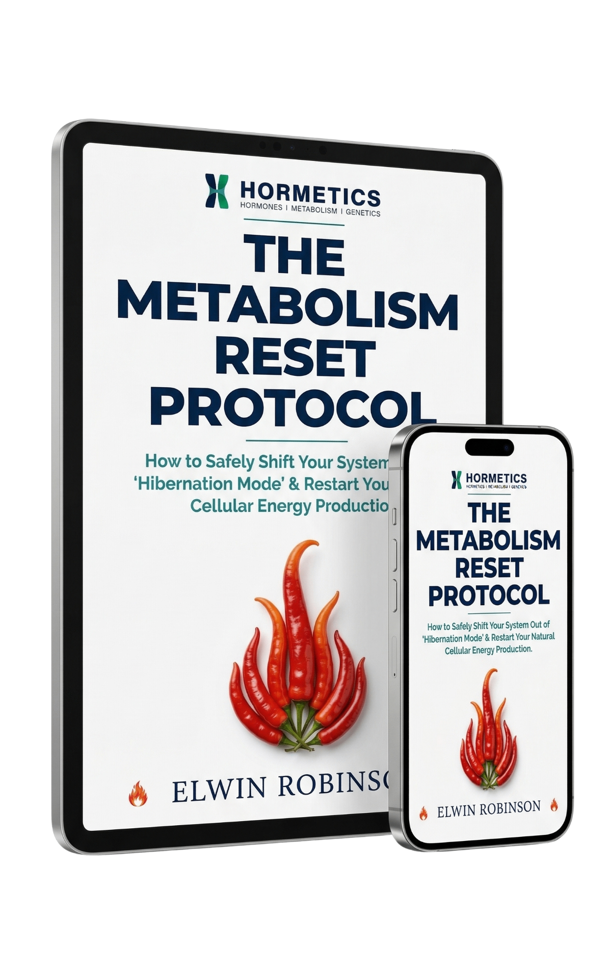 The Metabolism Guide